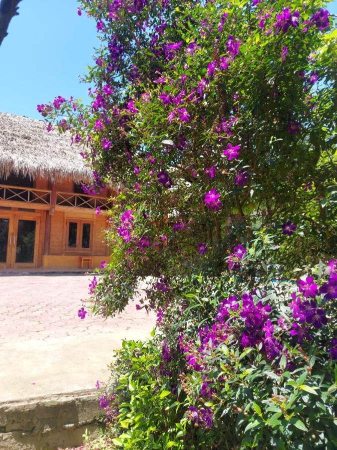 Flower Hmong Homestay Bac Ha  Bagian luar foto