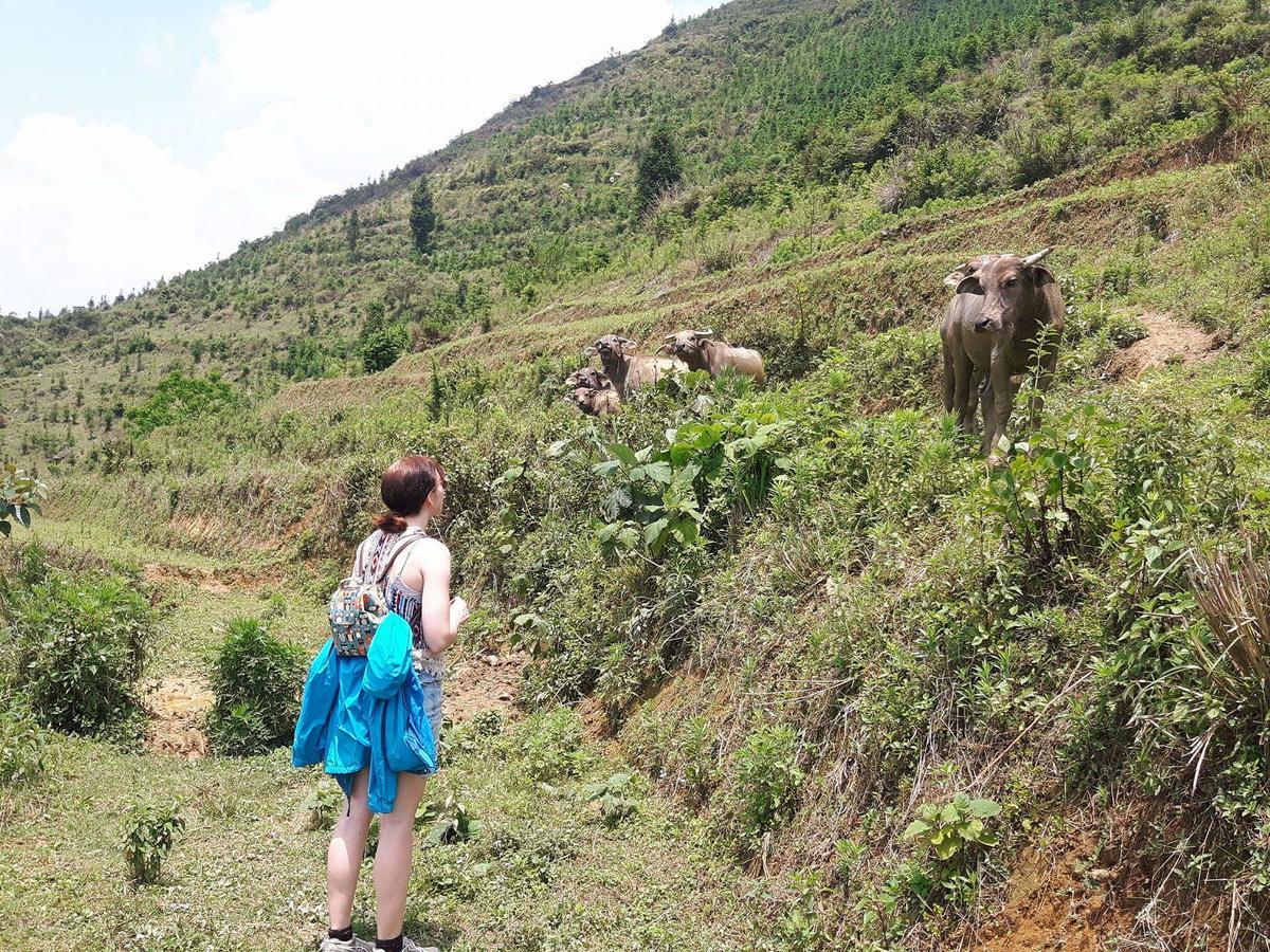 Flower Hmong Homestay Bac Ha  Bagian luar foto