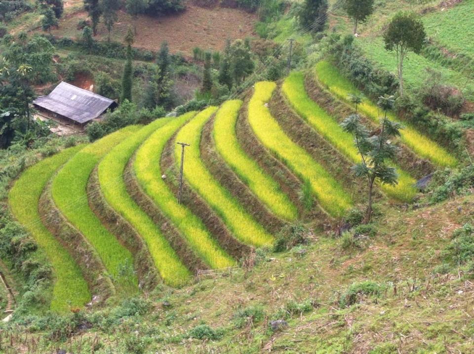 Flower Hmong Homestay Bac Ha  Bagian luar foto